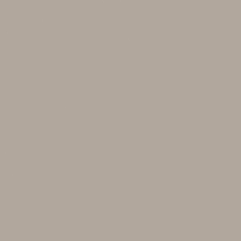 ARPA 0748 BEIGE ARIZONA FENIX BLOOM